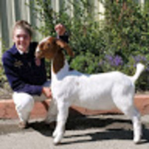 Meet your Posher, Belinda